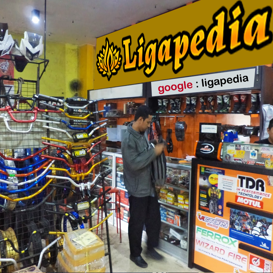 LIGAPEDIA